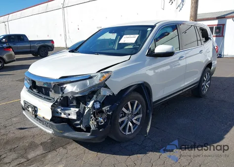 2019 Honda Pilot Ex-L из США, поврежденный, VIN 5FNYF6H47KB014655